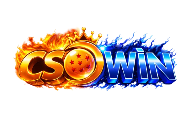 LOGO CSOWIN